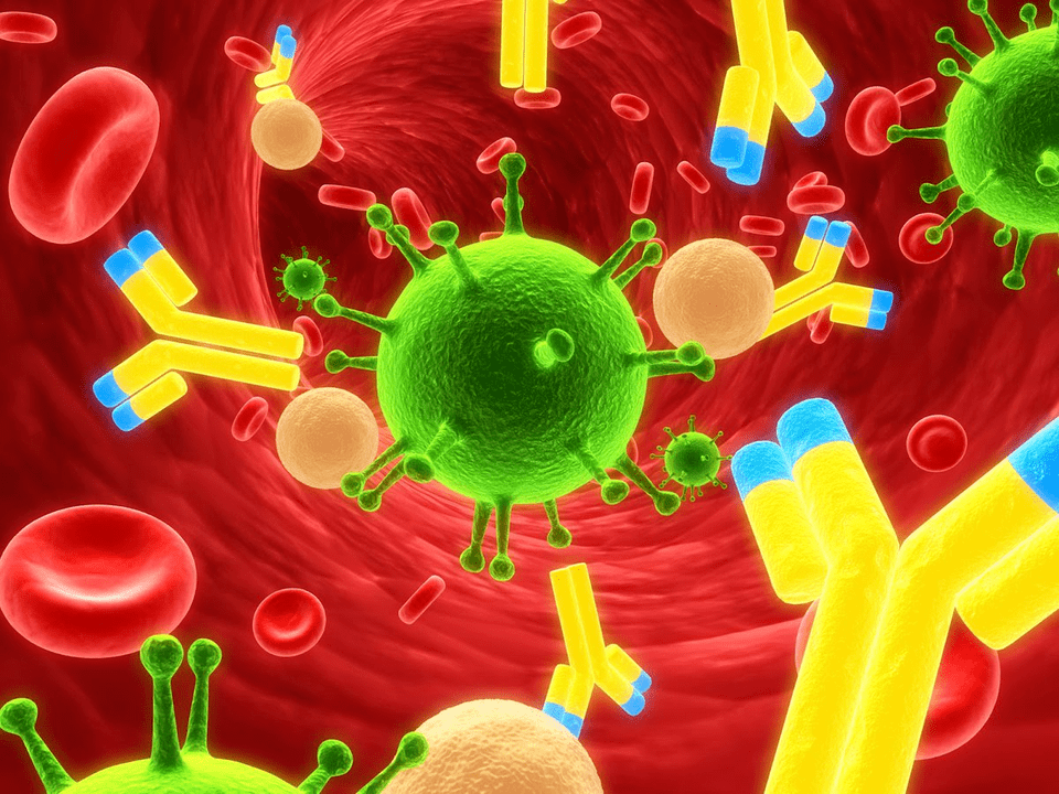 bacteria of prostatitis in the body