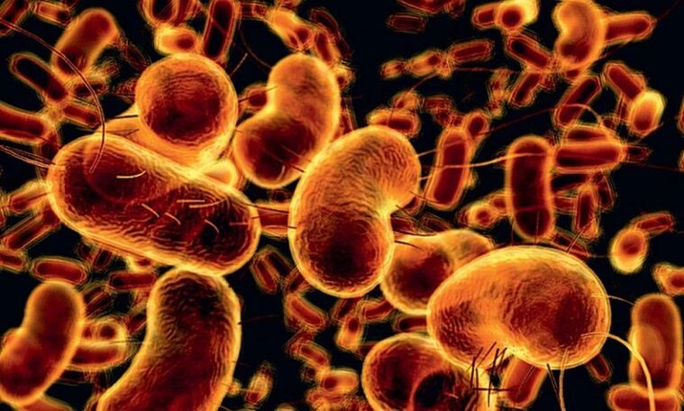 bacteria that cause infectious prostatitis