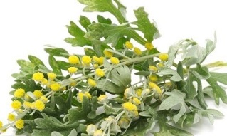 herbs for the treatment of prostatitis