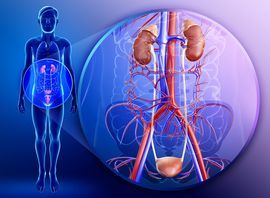Diseases of the urinary system